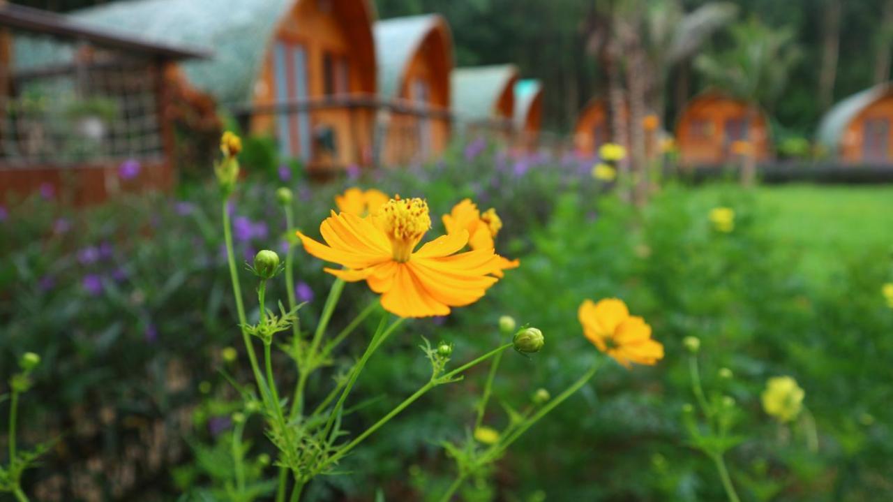 Chay Lap Farmstay Bo Trach ภายนอก รูปภาพ